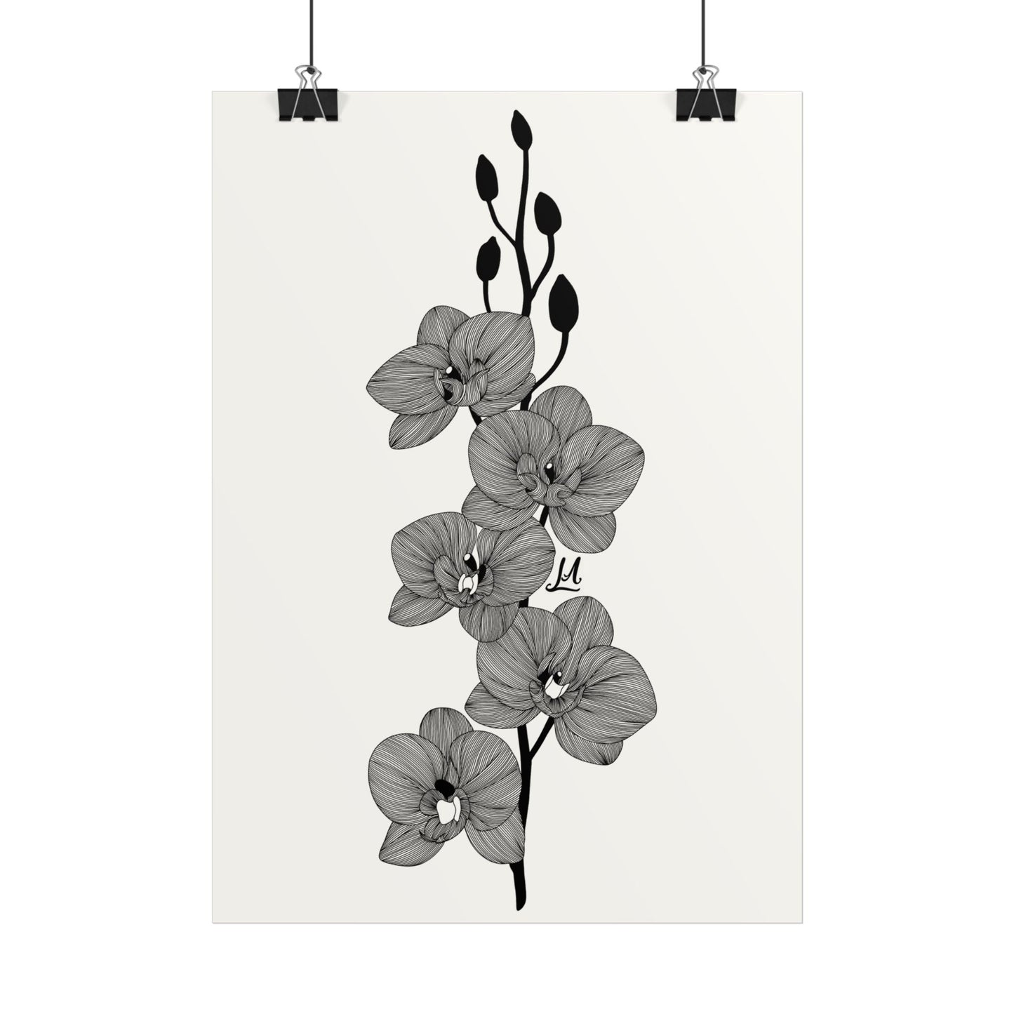 Elegant Orchid line artwork.