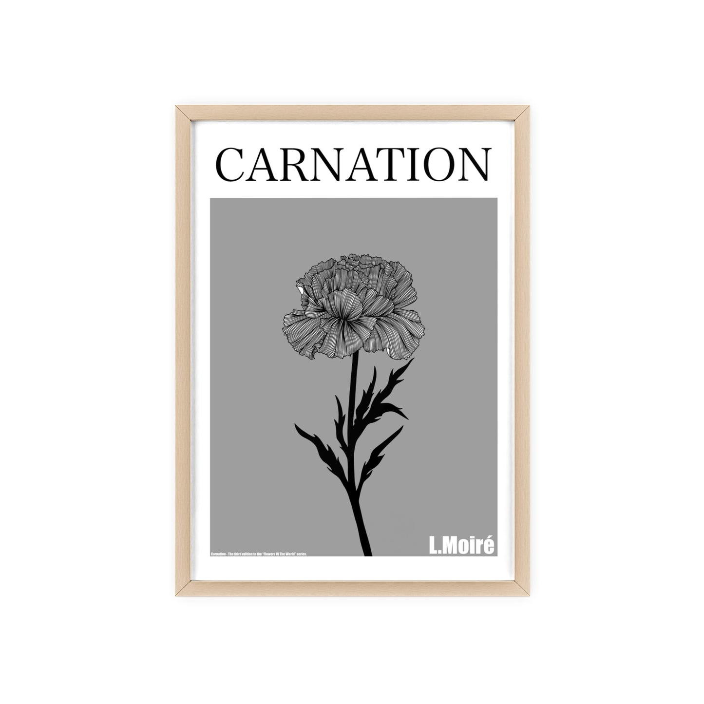 Carnation - The third edition to the - Flower Of The World - series.