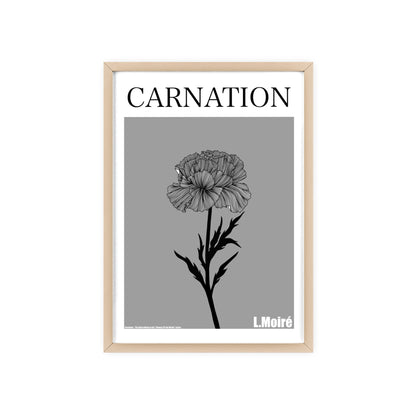 Carnation - The third edition to the - Flower Of The World - series.