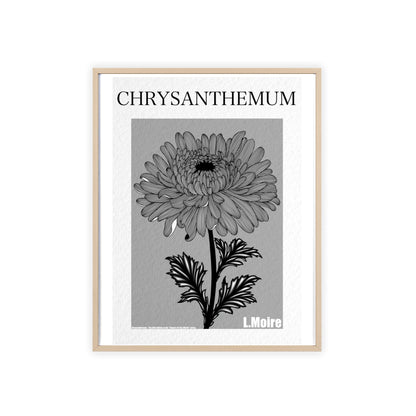 Chrysanthemum - The fifth edition - Flowers Of The World.