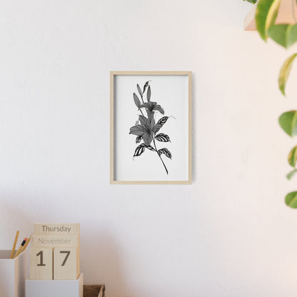 Elegant Floral Wall Art, Black and White Lily artwork - Framed.