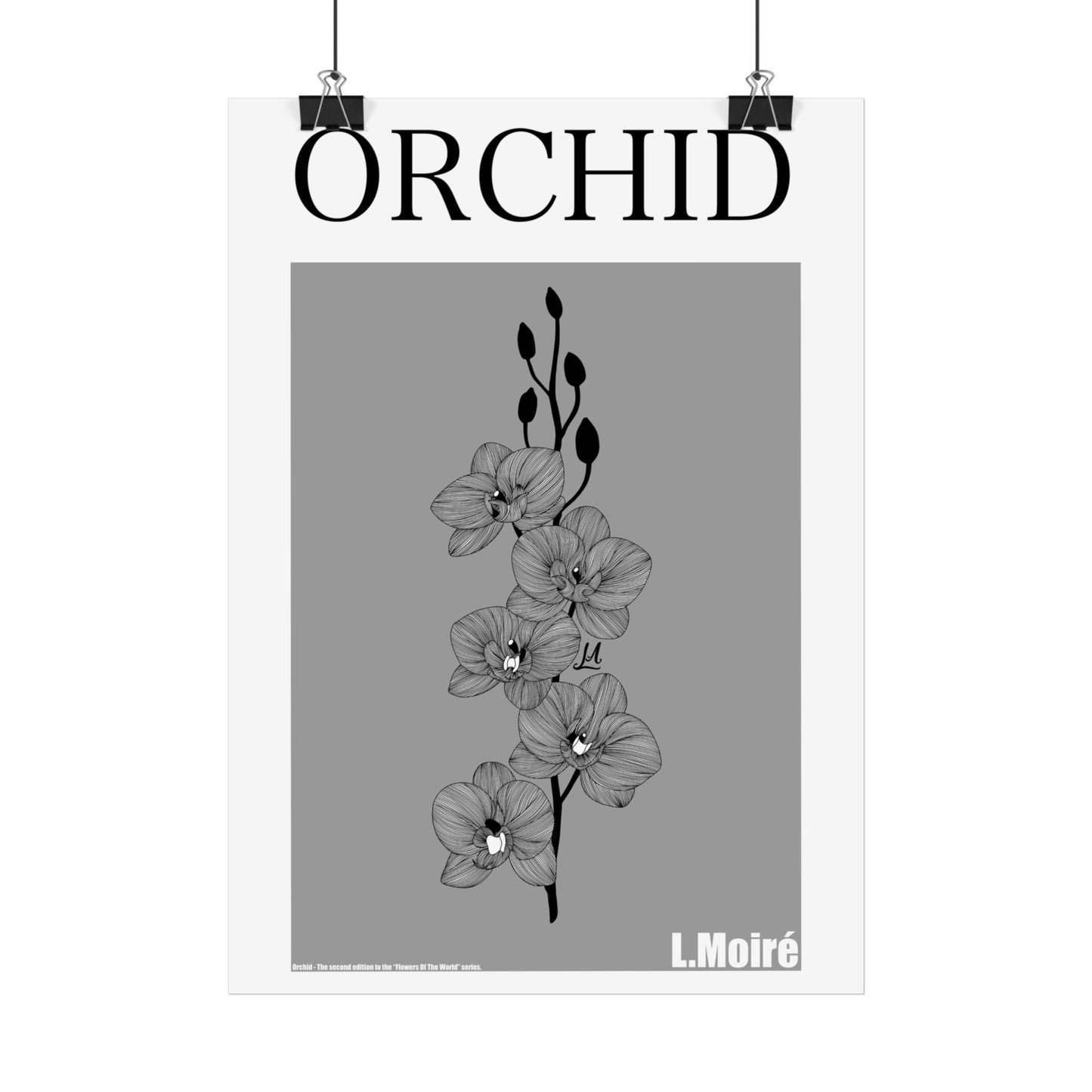 Orchid - the second edition to the - Flowers Of The World - series.