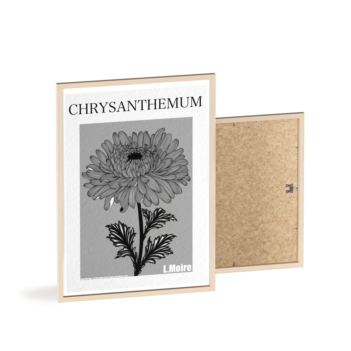 Chrysanthemum - The fifth edition - Flowers Of The World.