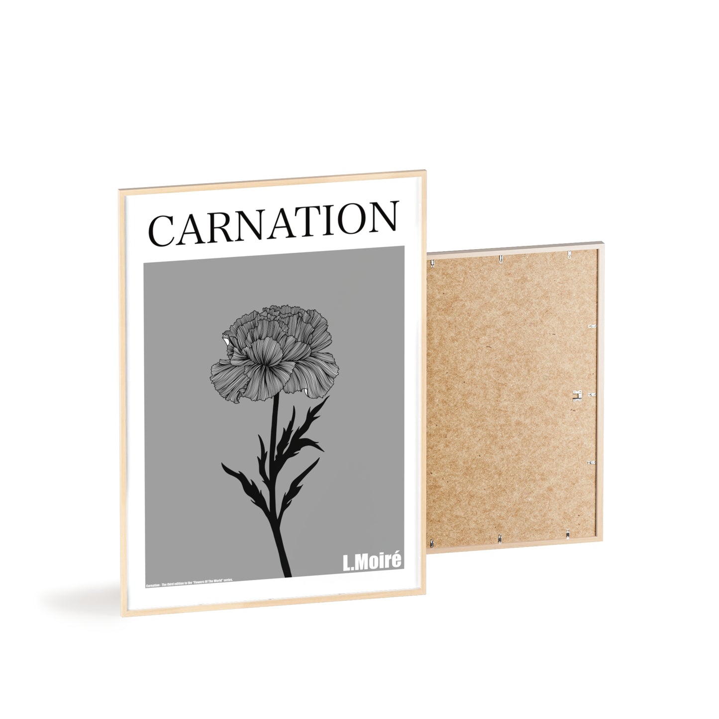 Carnation - The third edition to the - Flower Of The World - series.