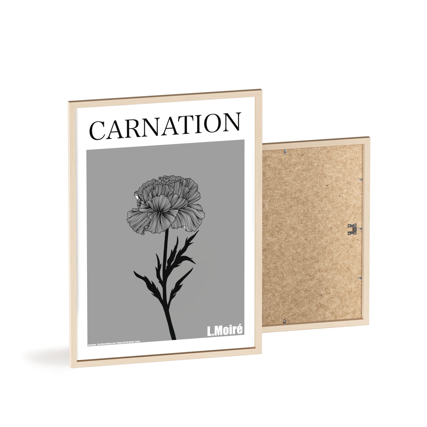 Carnation - The third edition to the - Flower Of The World - series.