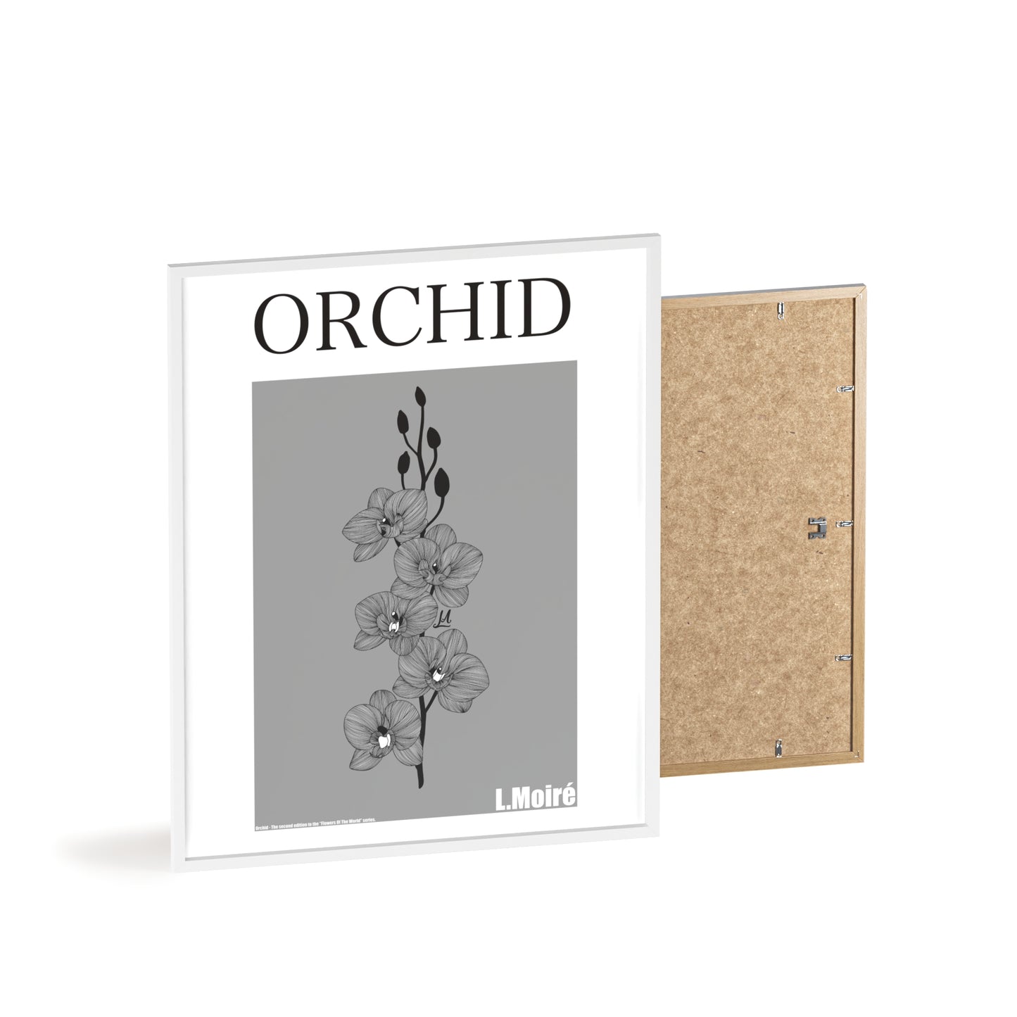 Orchid - The second edition to the - Flowers Of The World - series. - Framed.