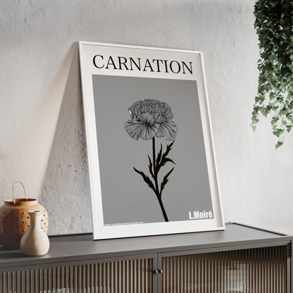 Carnation - The third edition to the - Flower Of The World - series.