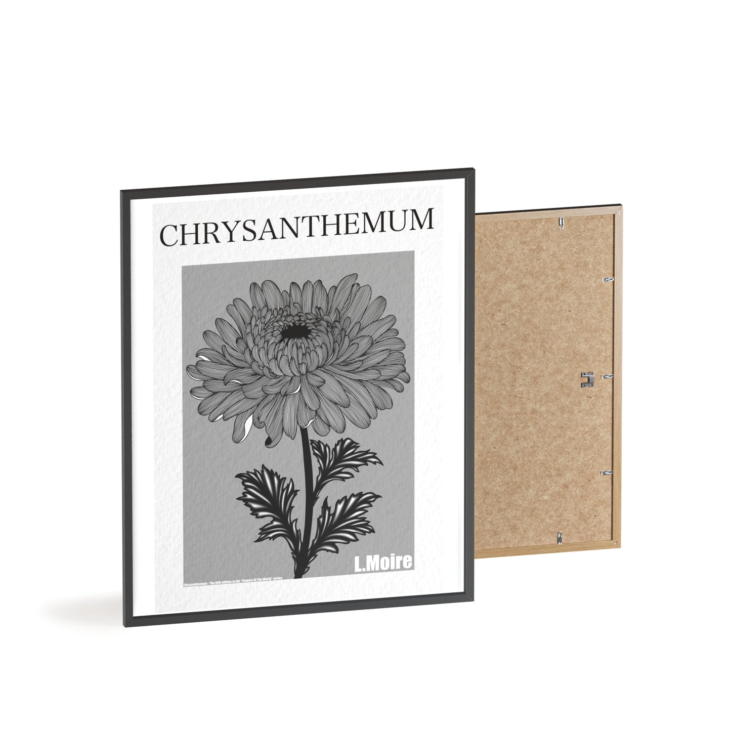 Chrysanthemum - The fifth edition - Flowers Of The World.