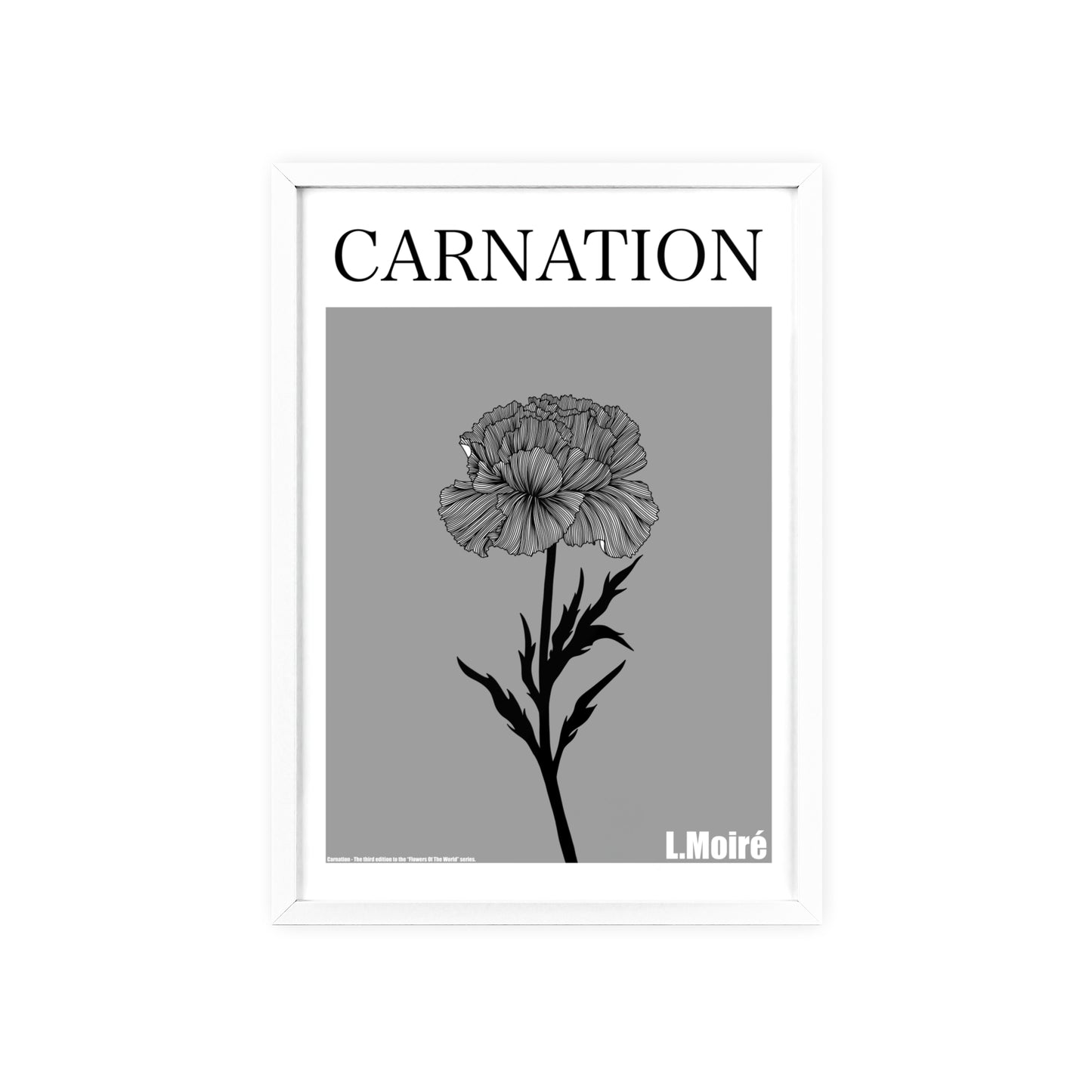 Carnation - The third edition to the - Flower Of The World - series.
