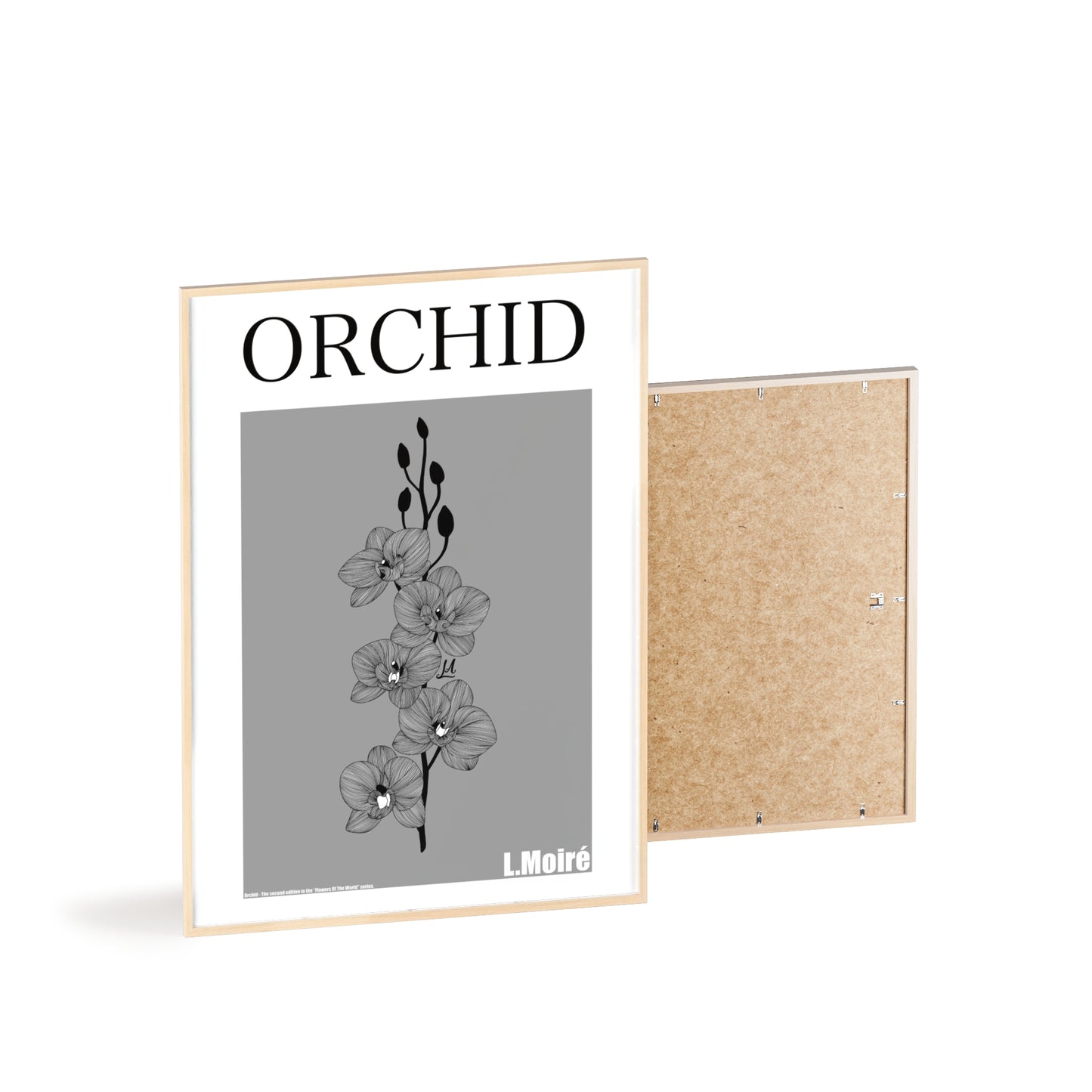 Orchid - The second edition to the - Flowers Of The World - series. - Framed.