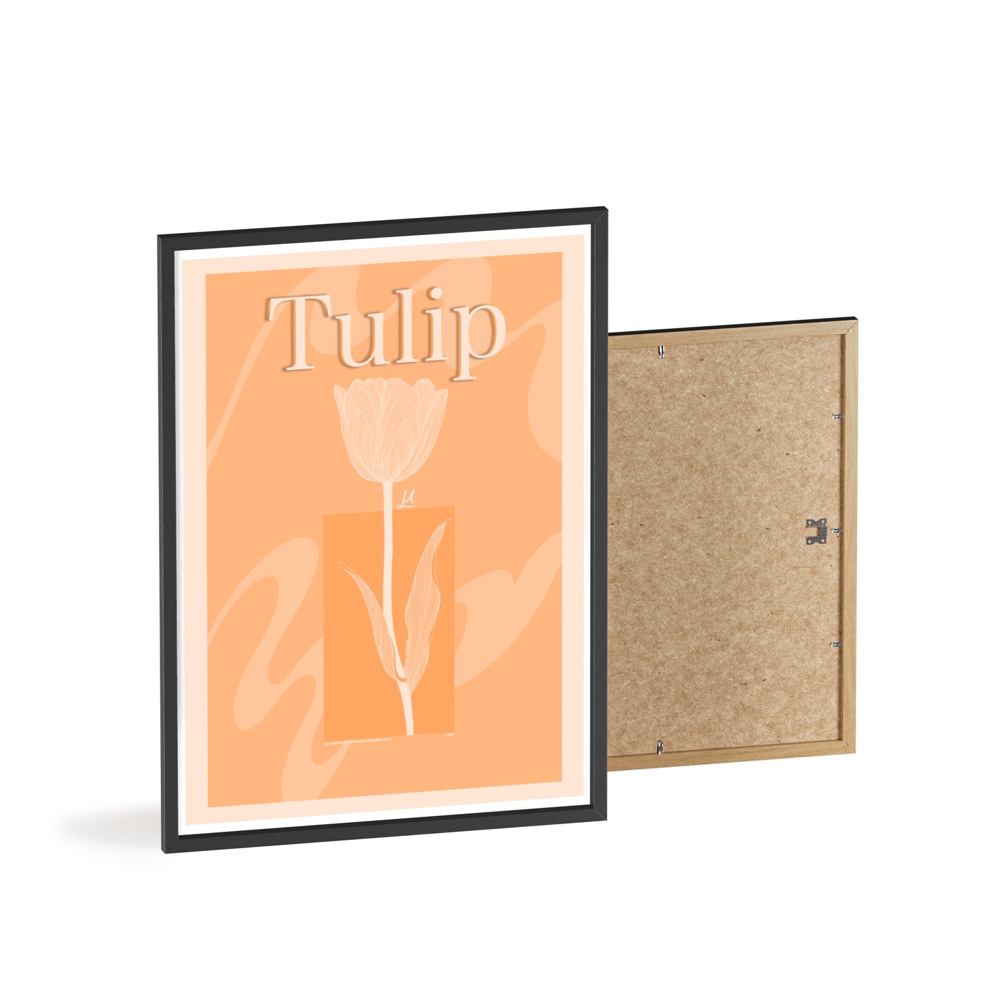 Tulip - The first edition to the - Flowers Of The World - serie. - Framed.