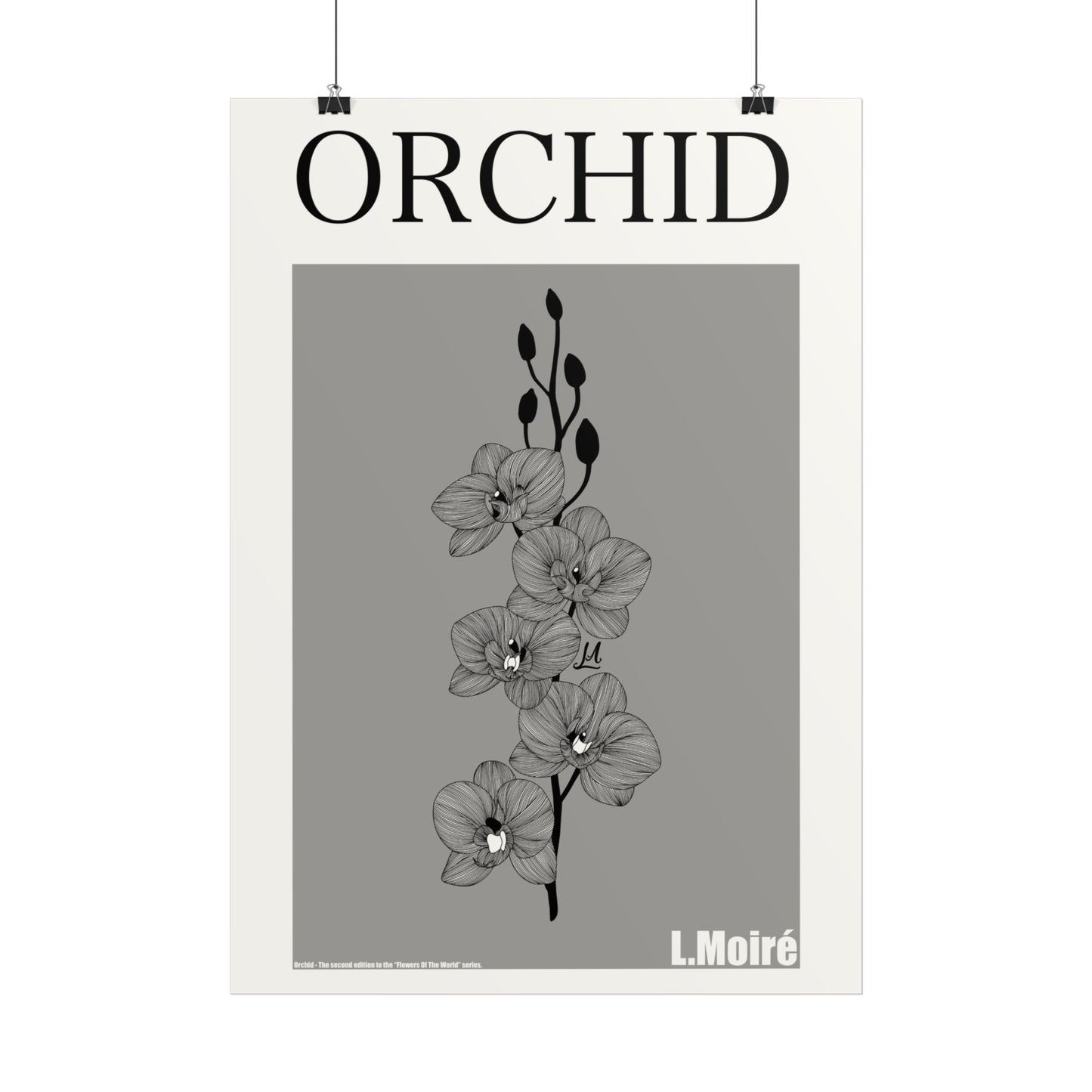 Orchid - the second edition to the - Flowers Of The World - series.
