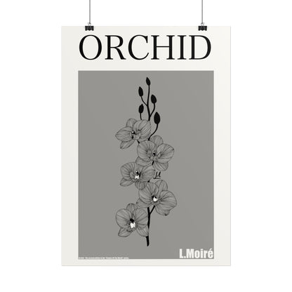 Orchid - the second edition to the - Flowers Of The World - series.