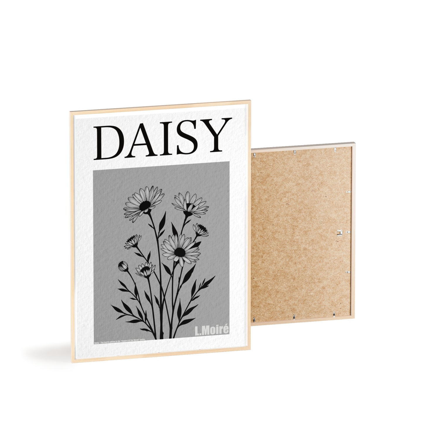 Daisy - The fourth edition - Flowers Of The World.