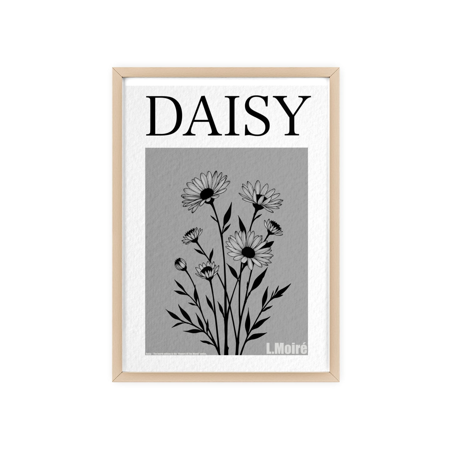 Daisy - The fourth edition - Flowers Of The World.