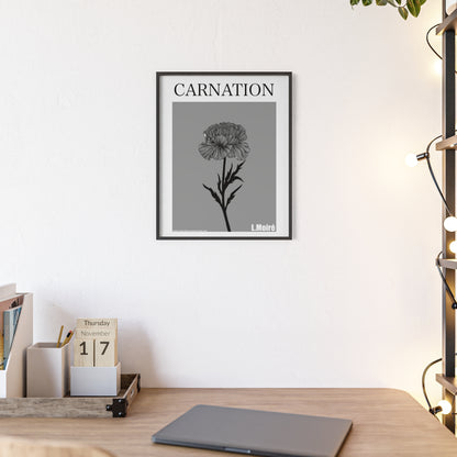 Carnation - The third edition to the - Flower Of The World - series.