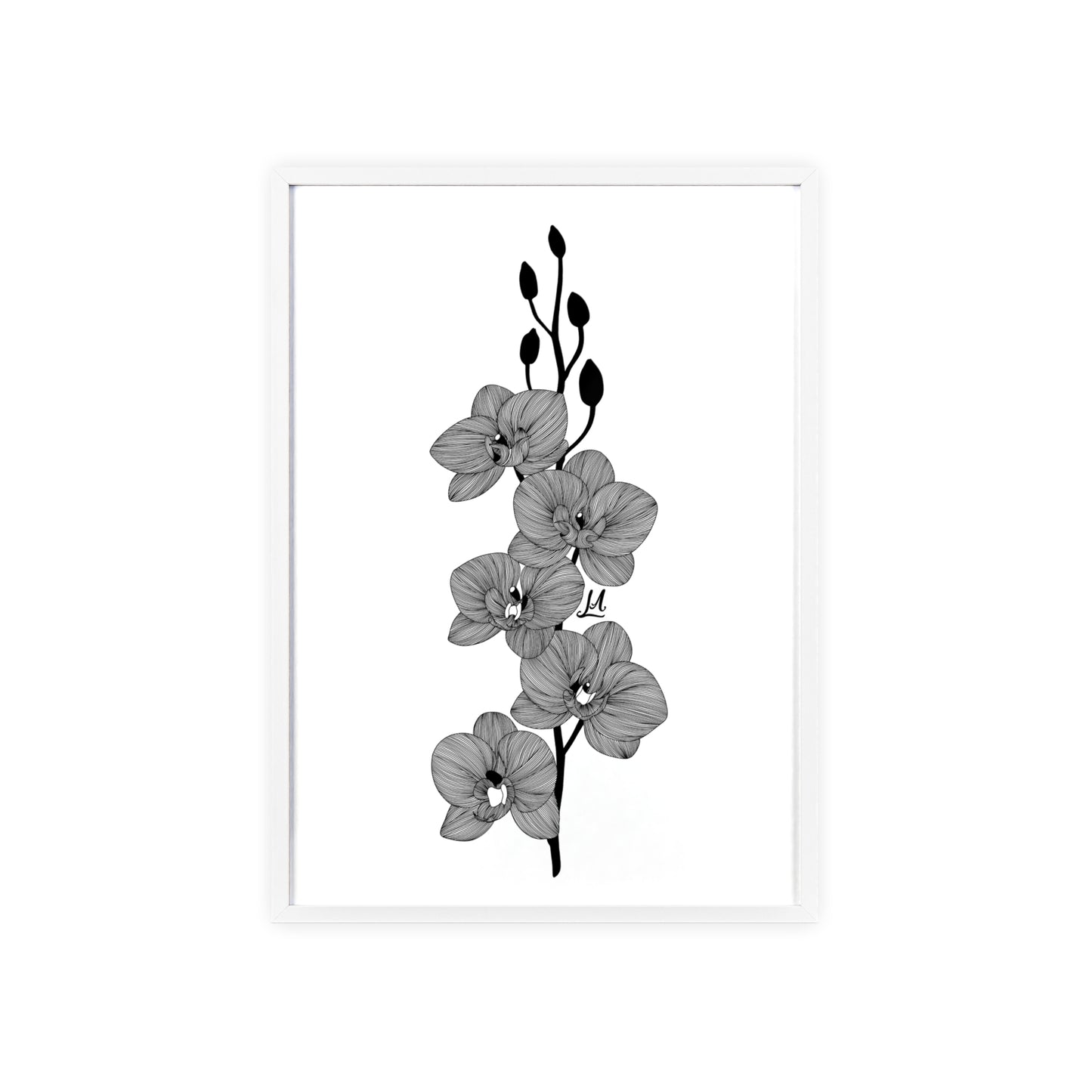 Elegant orchid line artwork - Framed.