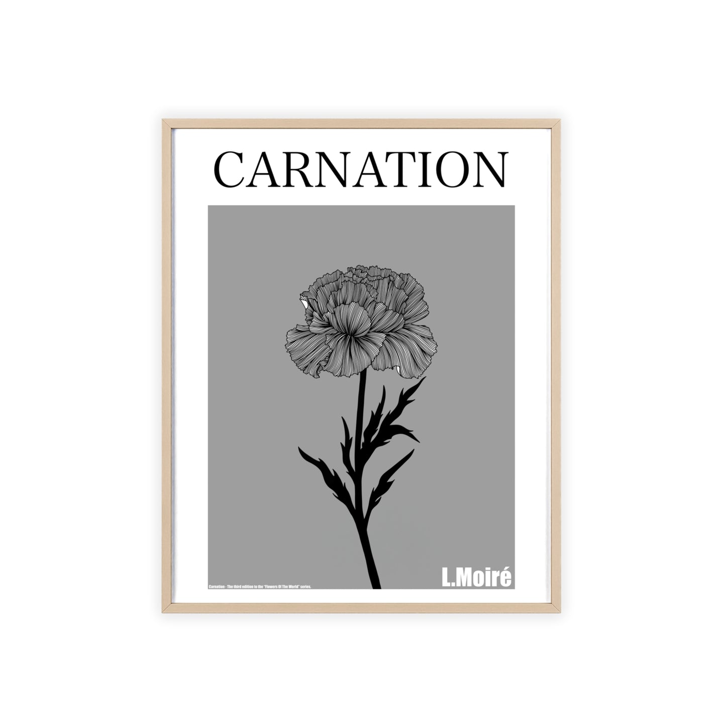 Carnation - The third edition to the - Flower Of The World - series.