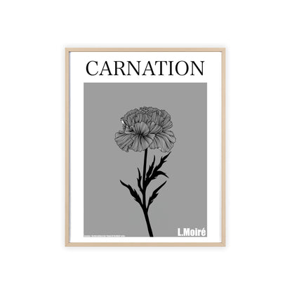Carnation - The third edition to the - Flower Of The World - series.