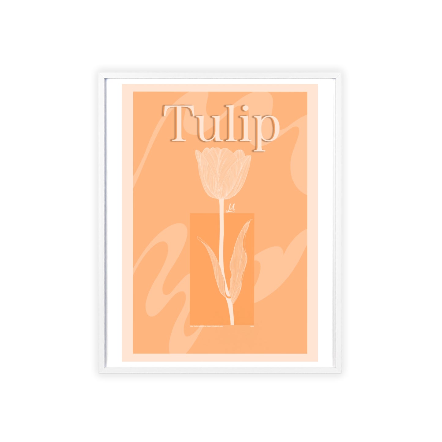 Tulip - The first edition to the - Flowers Of The World - serie. - Framed.