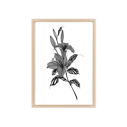 Elegant Floral Wall Art, Black and White Lily artwork - Framed.