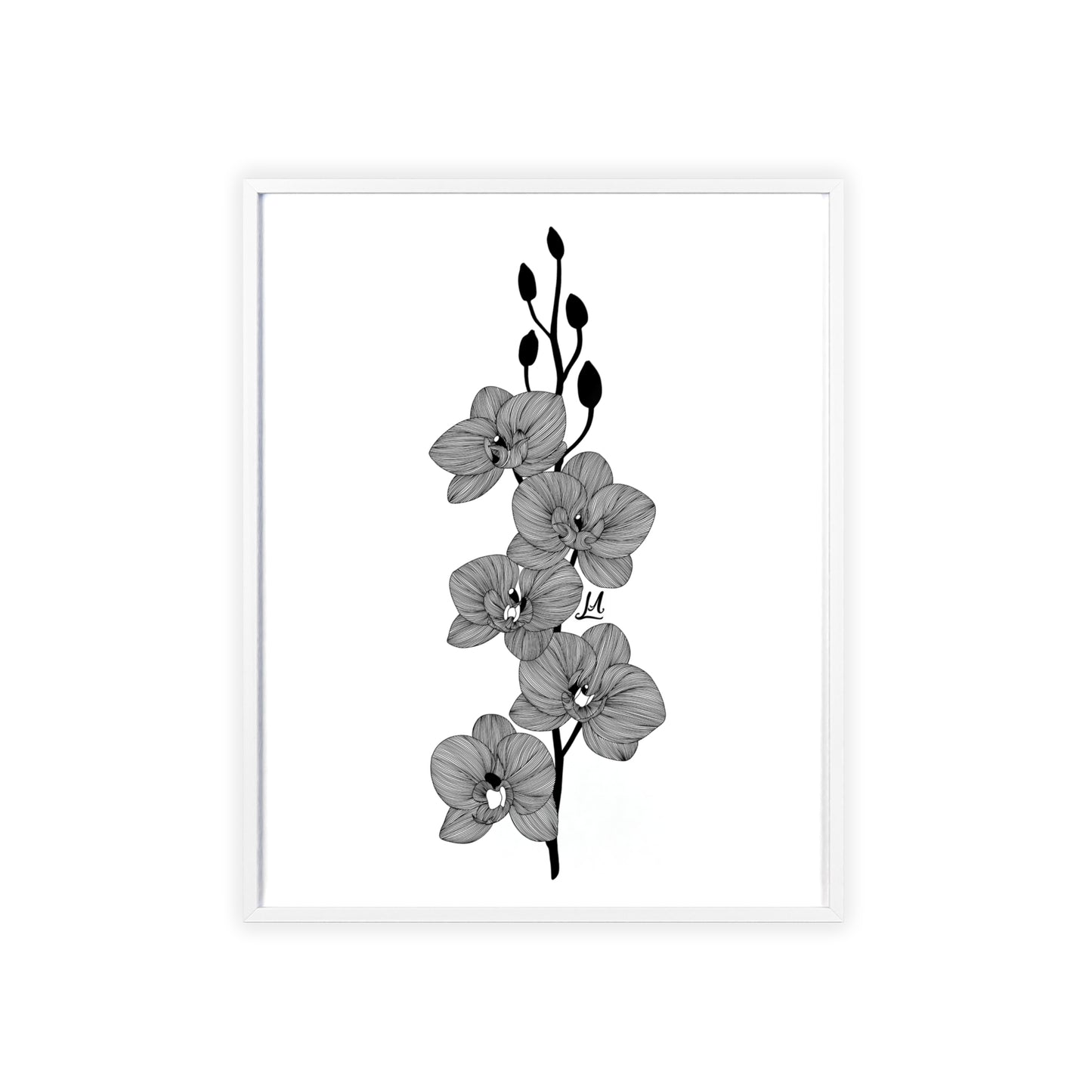 Elegant orchid line artwork - Framed.