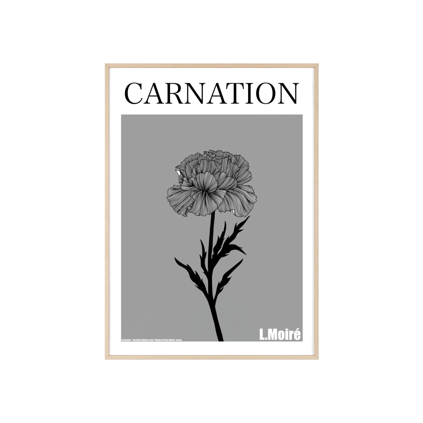 Carnation - The third edition to the - Flower Of The World - series.