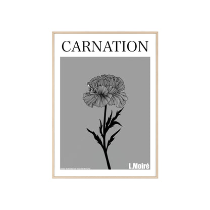 Carnation - The third edition to the - Flower Of The World - series.