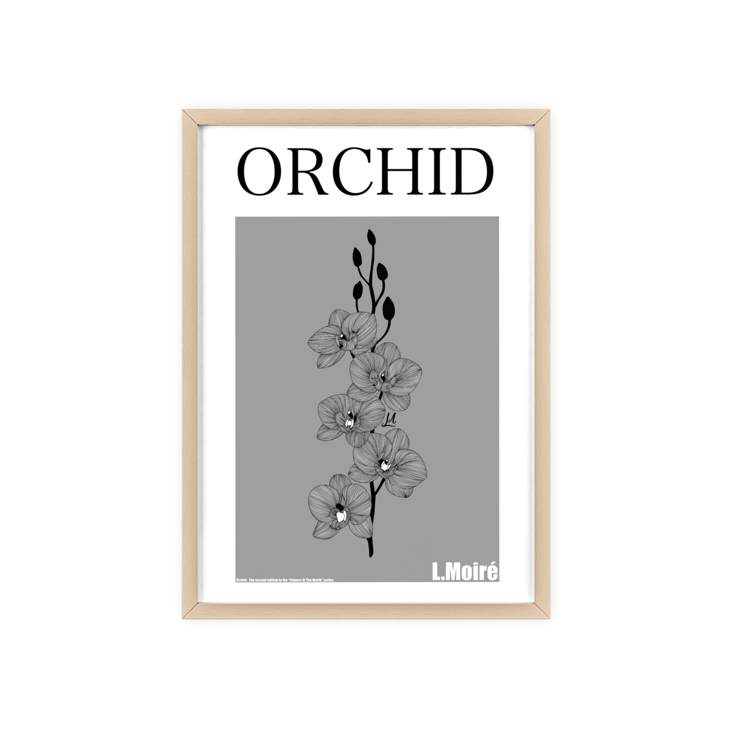 Orchid - The second edition to the - Flowers Of The World - series. - Framed.