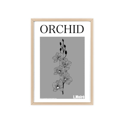 Orchid - The second edition to the - Flowers Of The World - series. - Framed.