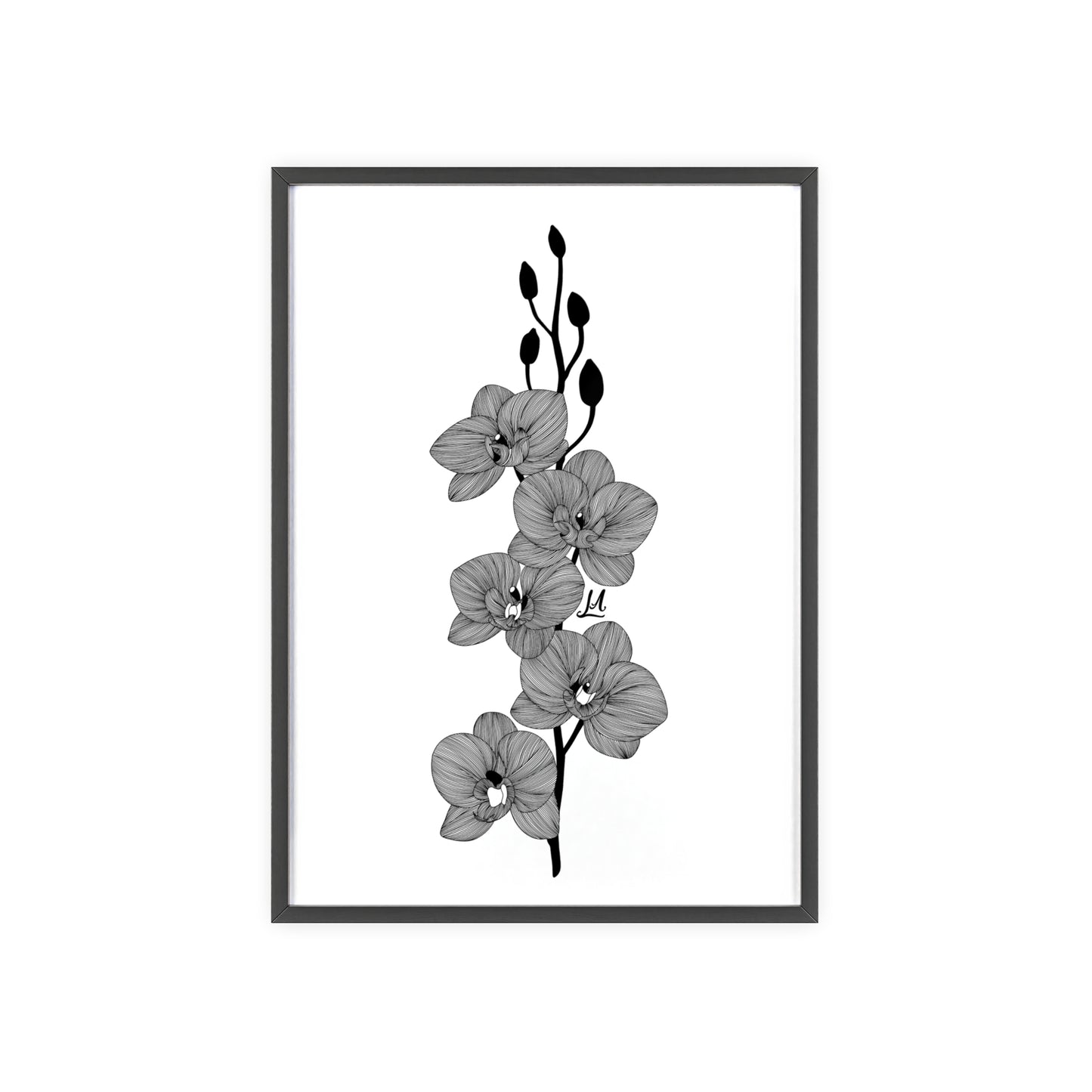 Elegant orchid line artwork - Framed.