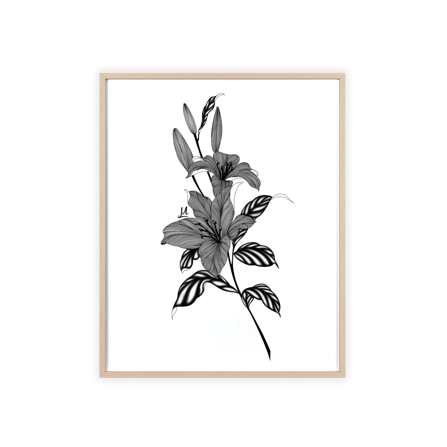 Elegant Floral Wall Art, Black and White Lily artwork - Framed.