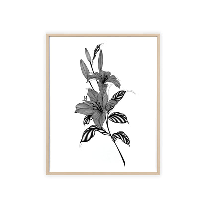 Elegant Floral Wall Art, Black and White Lily artwork - Framed.
