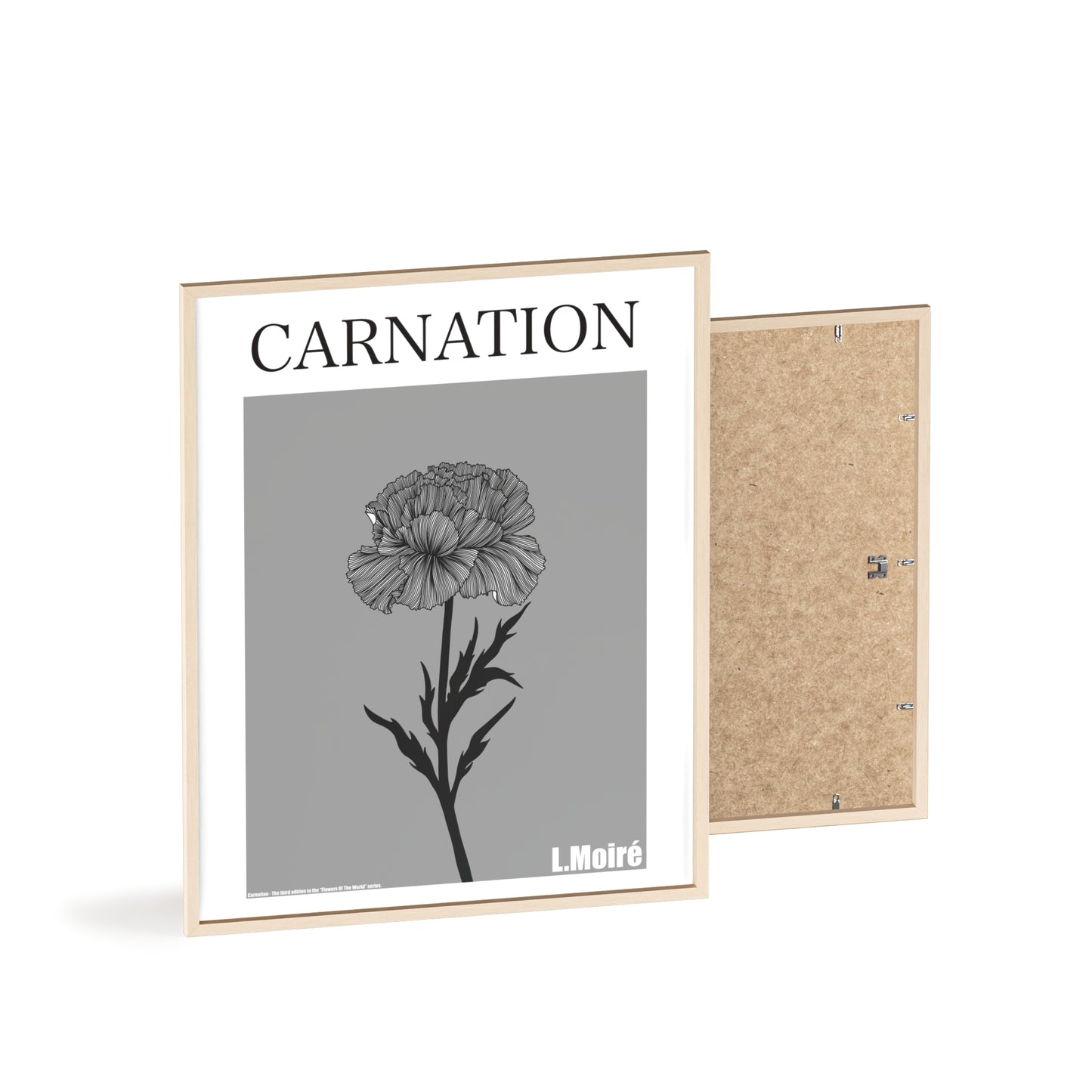 Carnation - The third edition to the - Flower Of The World - series.