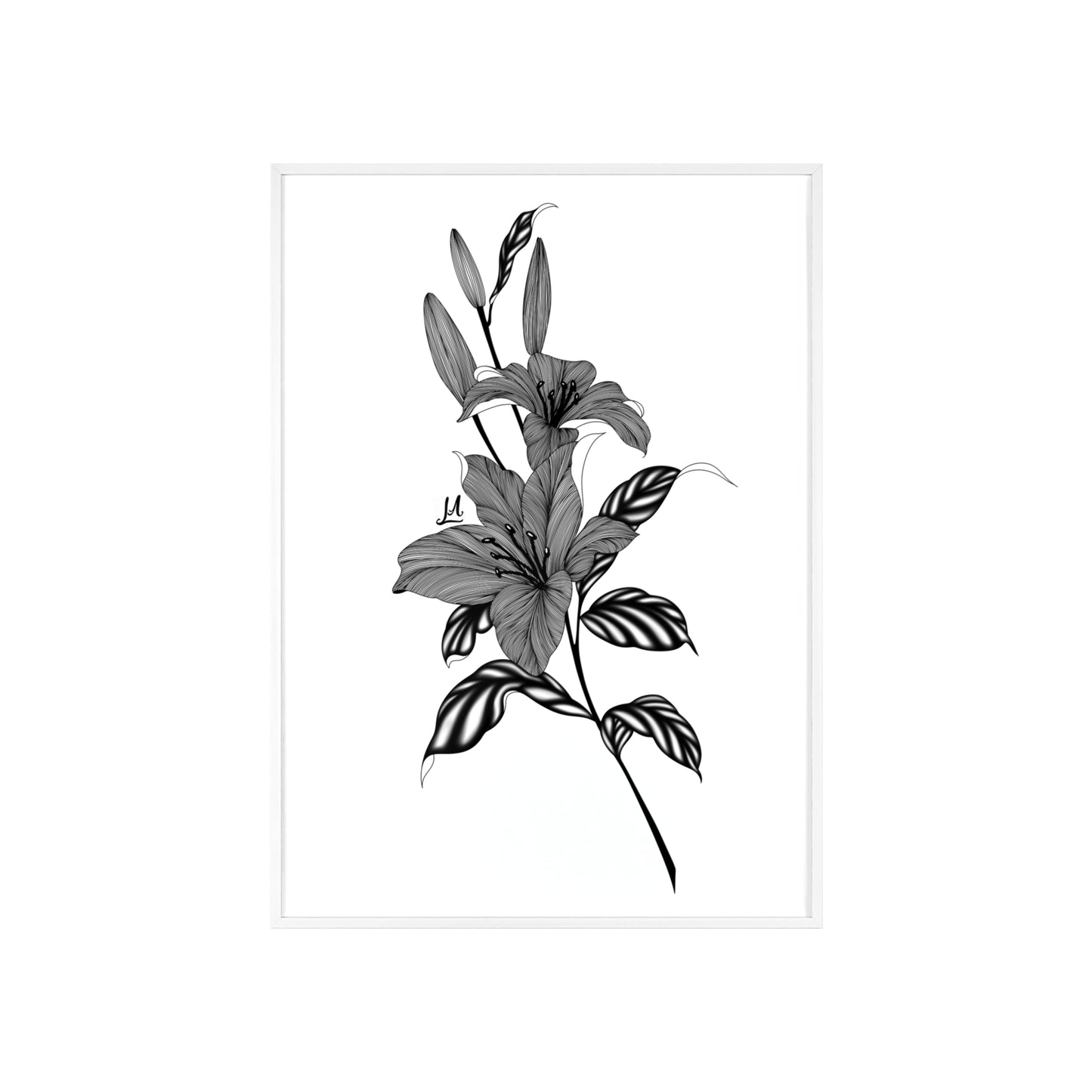 Elegant Floral Wall Art, Black and White Lily artwork - Framed.