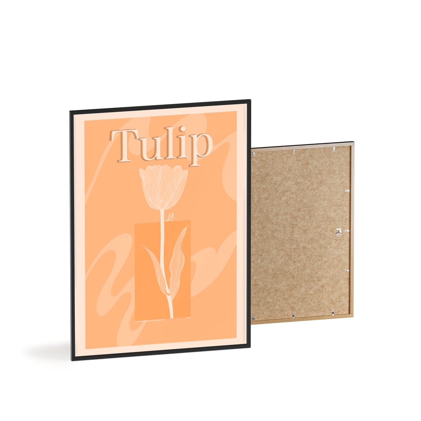 Tulip - The first edition to the - Flowers Of The World - serie. - Framed.