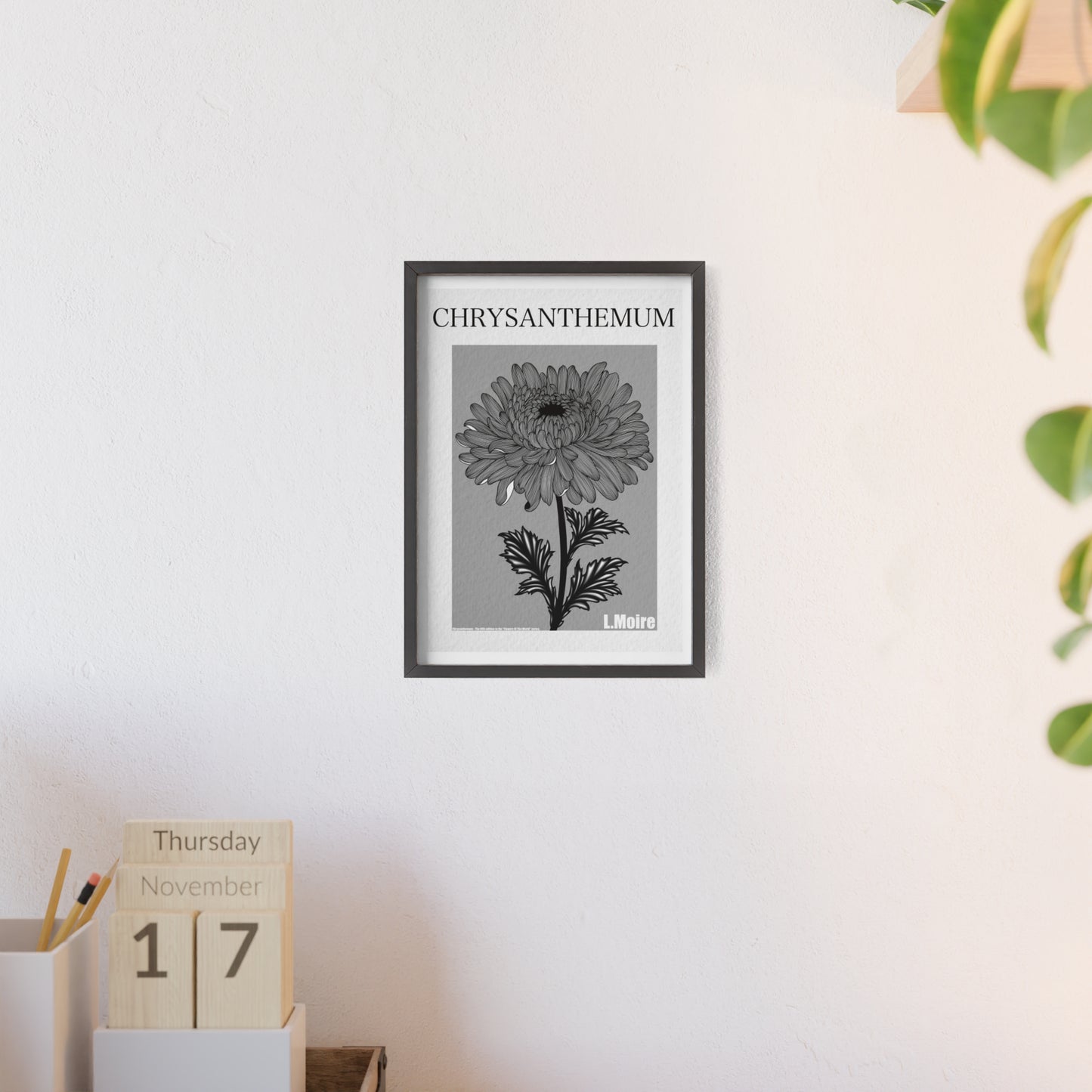 Chrysanthemum - The fifth edition - Flowers Of The World.
