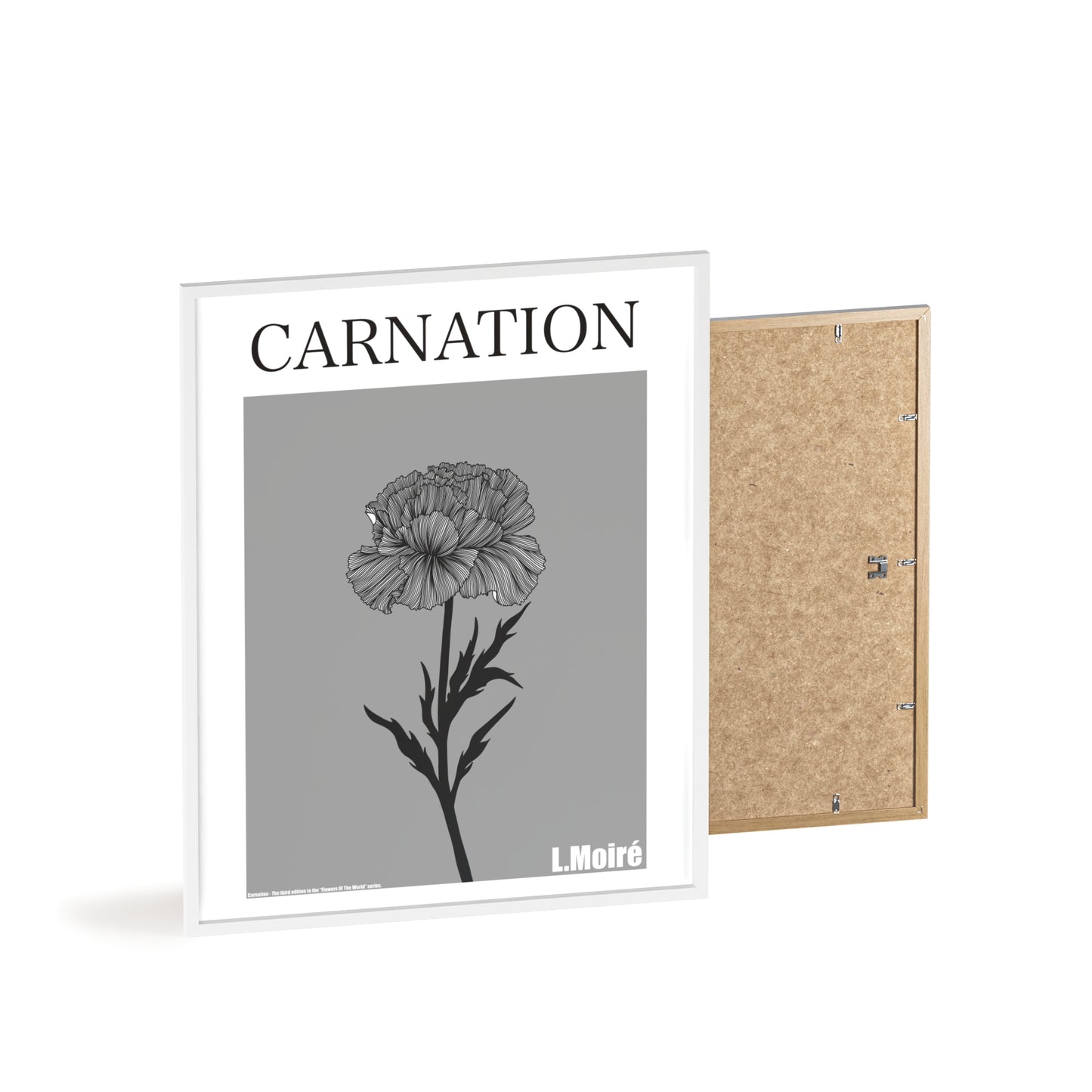 Carnation - The third edition to the - Flower Of The World - series.