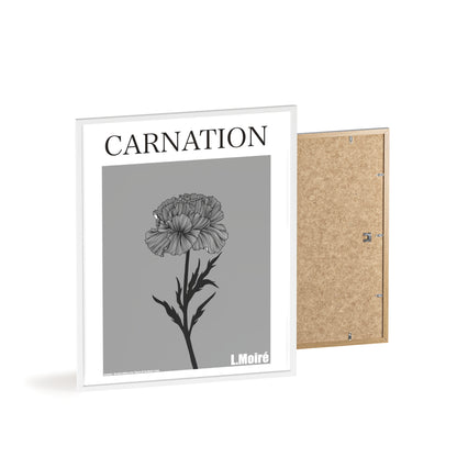 Carnation - The third edition to the - Flower Of The World - series.