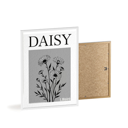 Daisy - The fourth edition - Flowers Of The World.