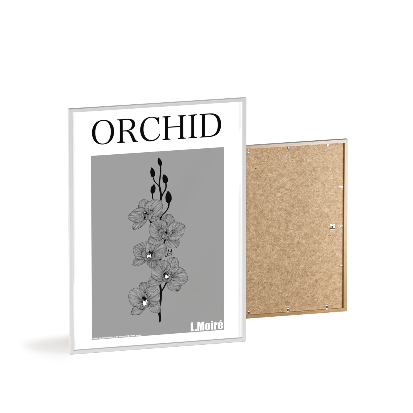 Orchid - The second edition to the - Flowers Of The World - series. - Framed.