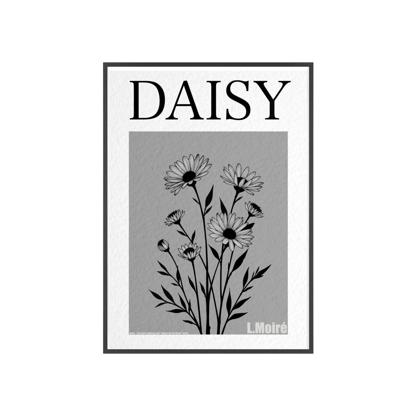 Daisy - The fourth edition - Flowers Of The World.