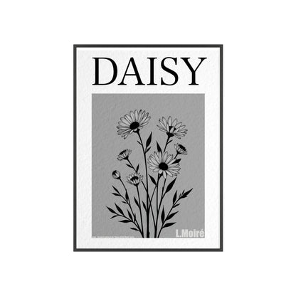 Daisy - The fourth edition - Flowers Of The World.