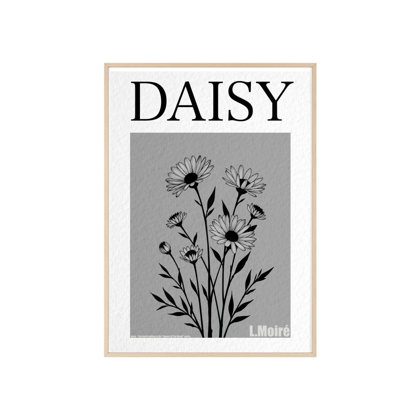 Daisy - The fourth edition - Flowers Of The World.