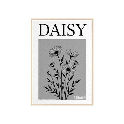 Daisy - The fourth edition - Flowers Of The World.