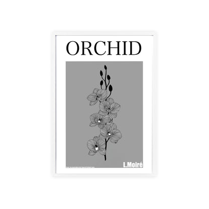 Orchid - The second edition to the - Flowers Of The World - series. - Framed.