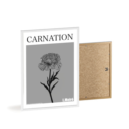 Carnation - The third edition to the - Flower Of The World - series.