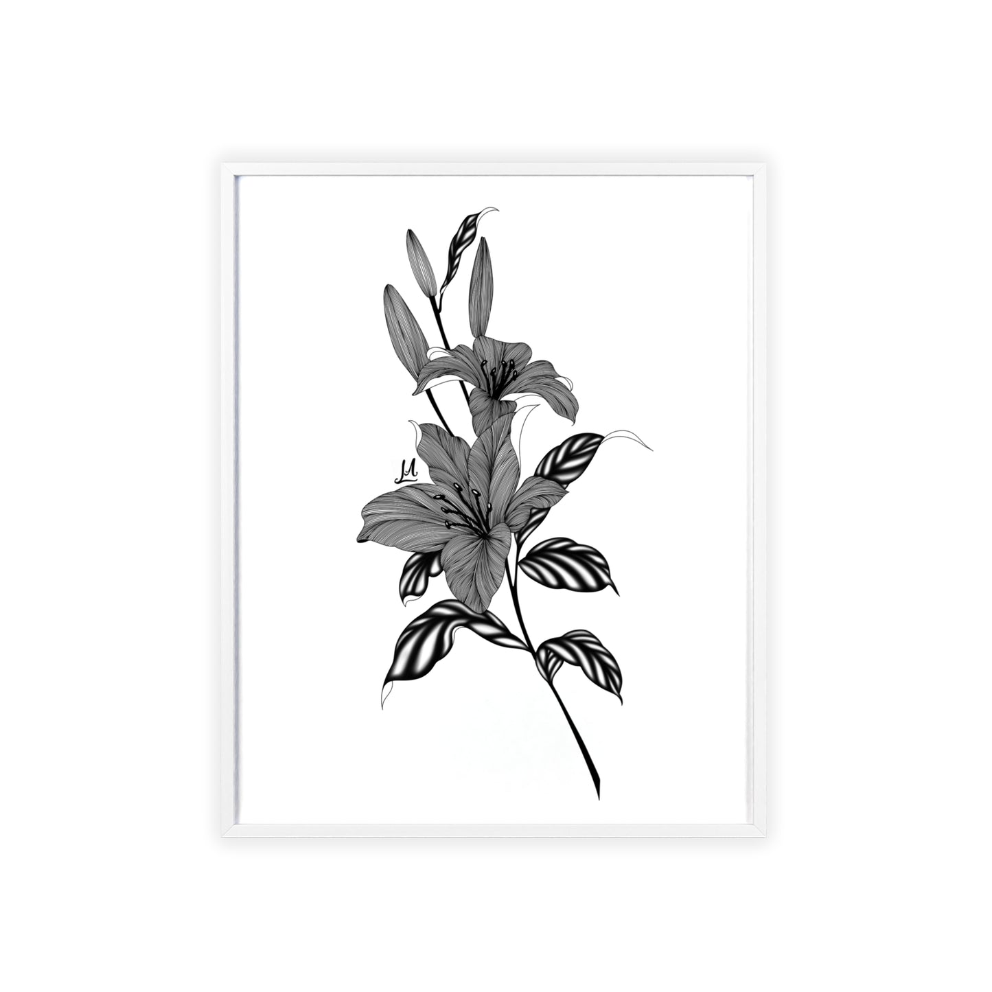 Elegant Floral Wall Art, Black and White Lily artwork - Framed.