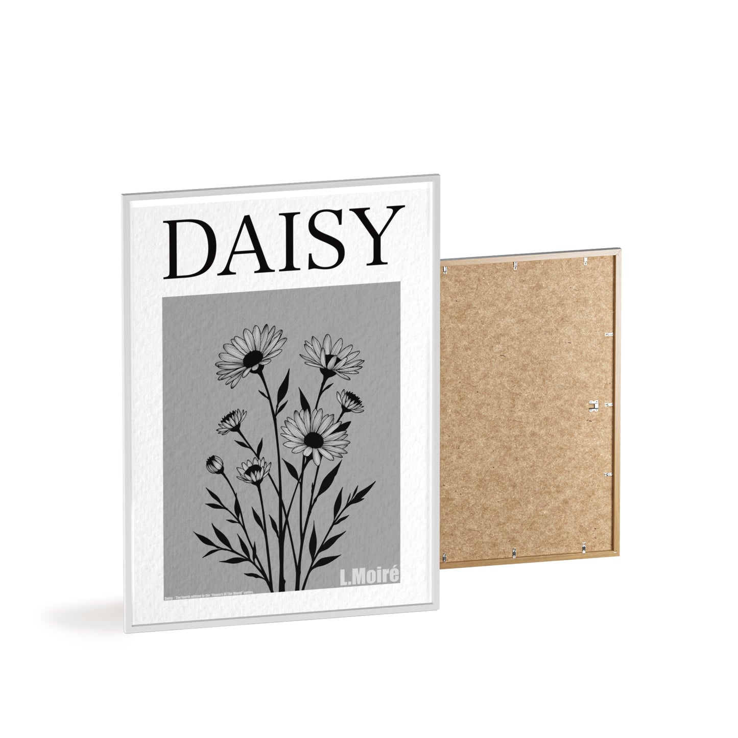 Daisy - The fourth edition - Flowers Of The World.