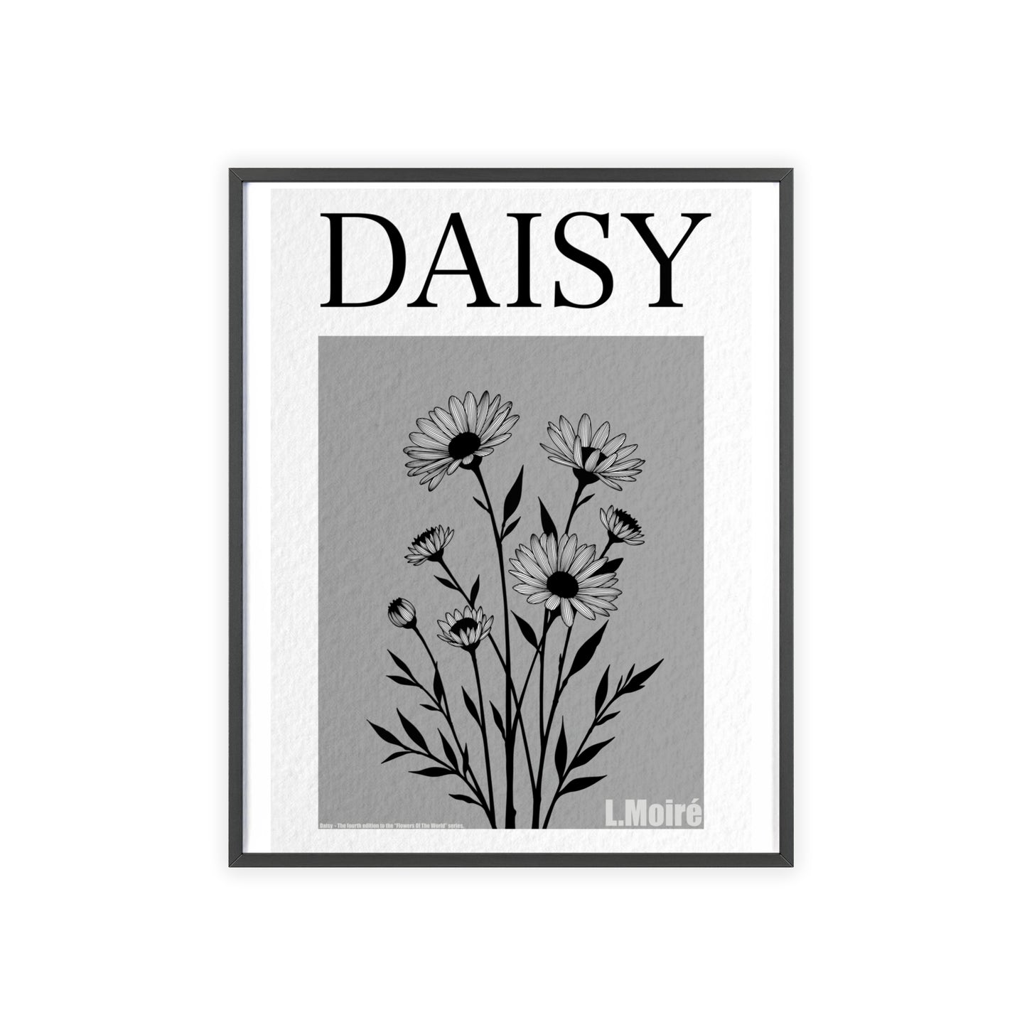 Daisy - The fourth edition - Flowers Of The World.